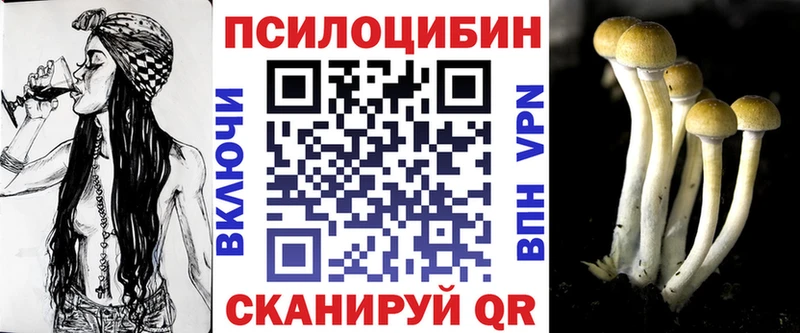 Купить  Пятигорск  Галлюциногенные грибы GOLDEN TEACHER 